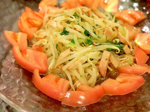 モヤシと白菜の中華サラダ